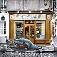 Pet Shark
